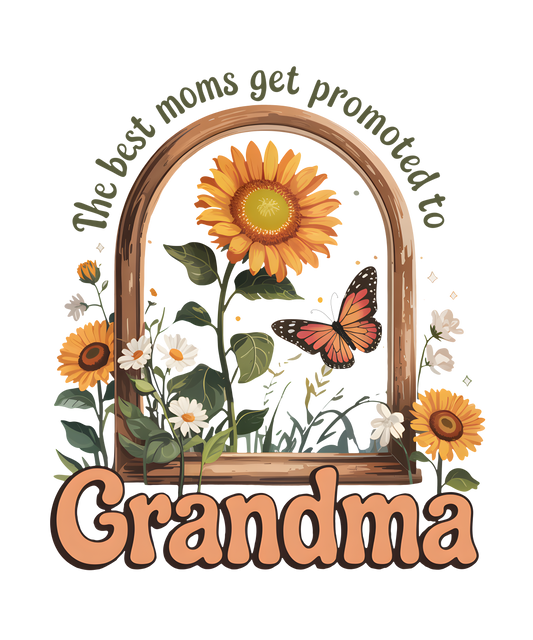 The best moms get promoted to Grandma Graphic T shirt